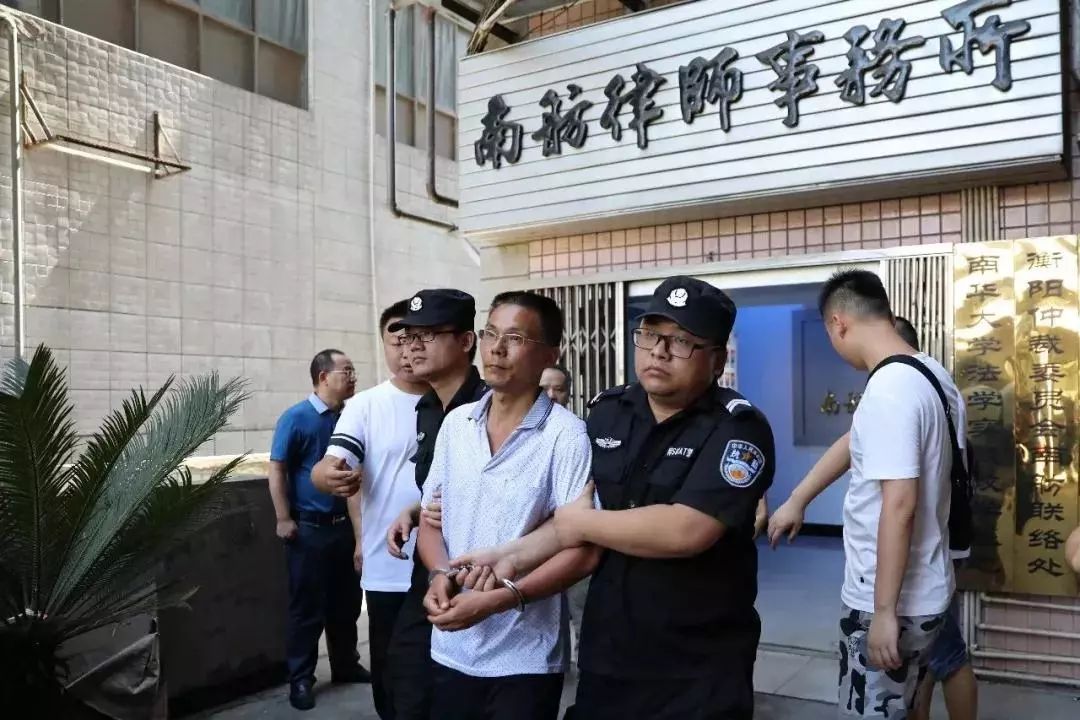 衡阳邹高帆案件进展，心灵与自然的奇妙旅行揭秘