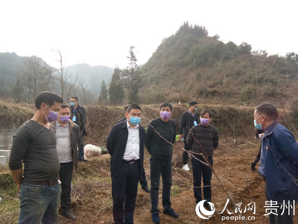 平坝疫情最新动态，变化中的学习之旅，自信与成就感的源泉