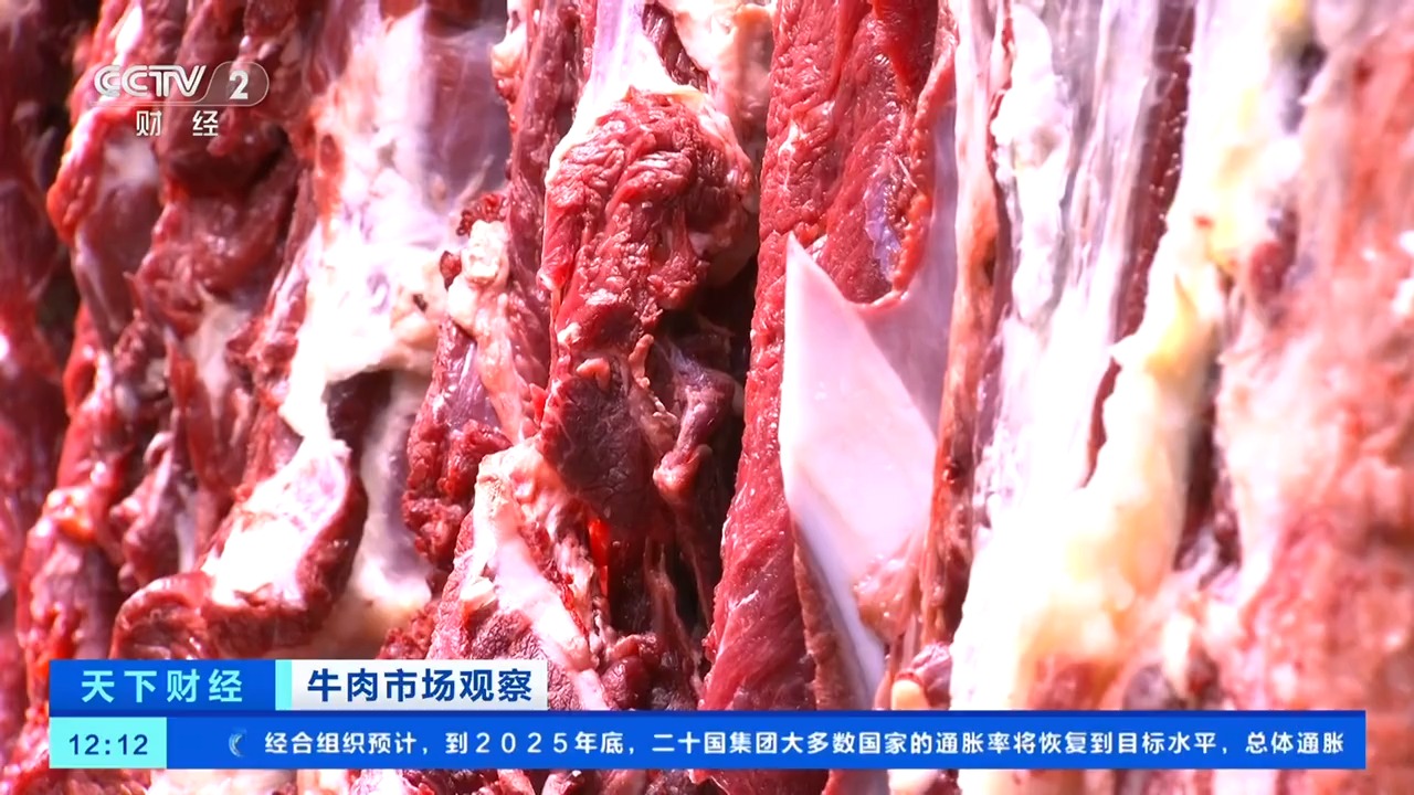 最新牛肉价格变化，市场与消费者的成长与自信之路