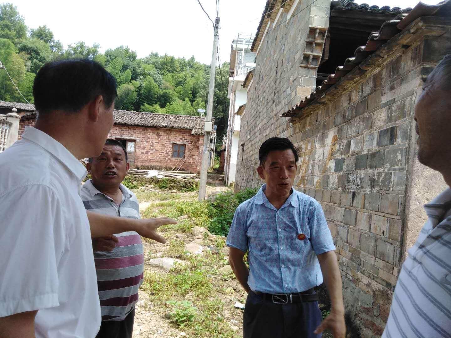 南城资讯速递，背景、事件与影响的全面回顾