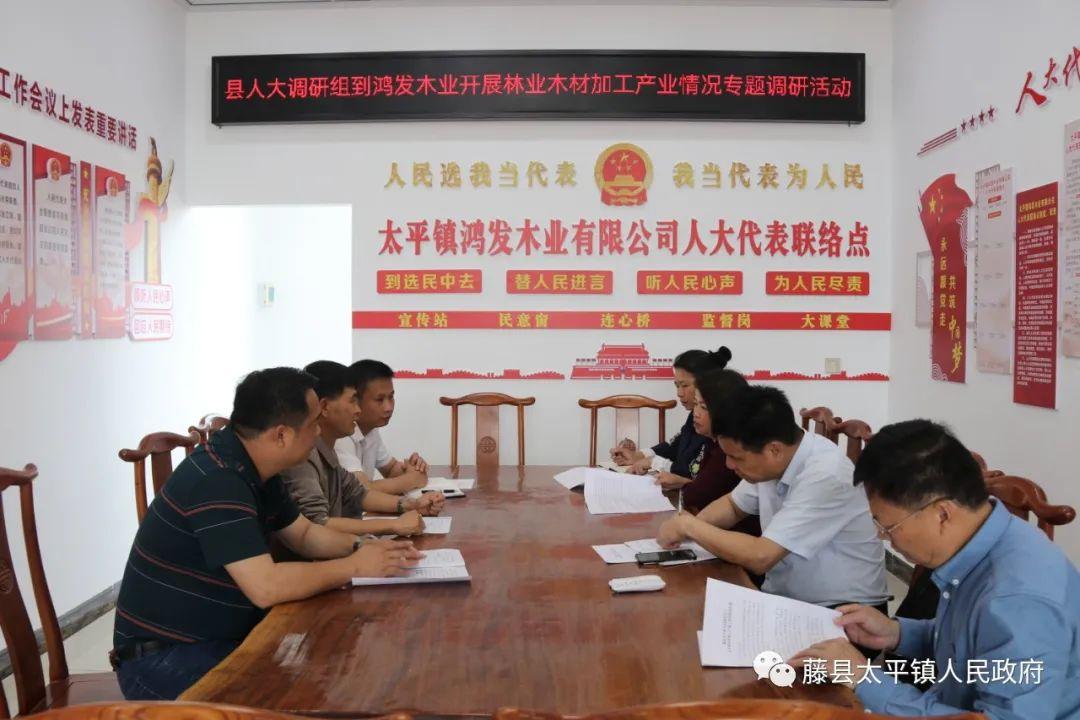 隆鑫股票行情深度解析及观点阐述