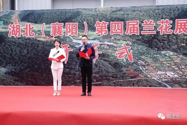 华中绿谷最新动态，探索自然美景的轻松之旅新进展